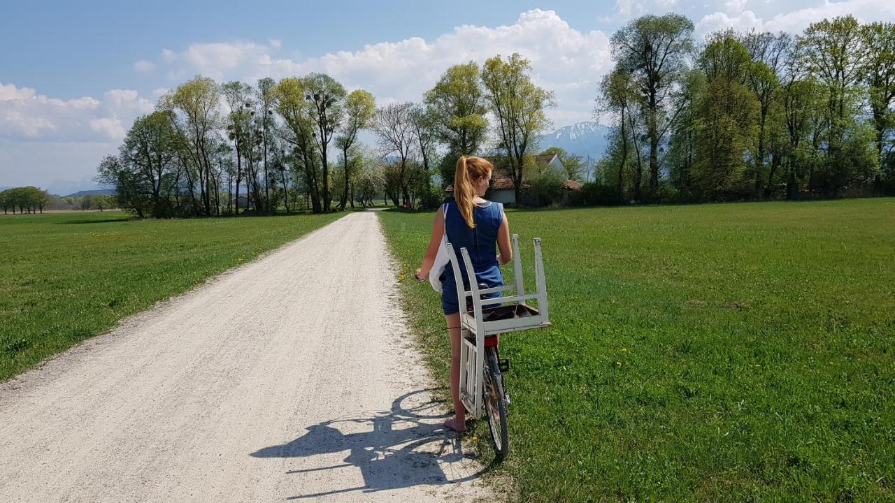 Apartmán Haus Blumenfeld-Schwaiger Übersee Exteriér fotografie