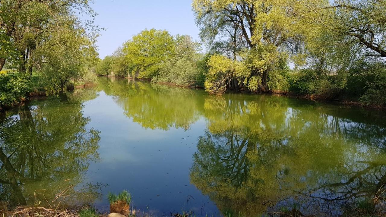Apartmán Haus Blumenfeld-Schwaiger Übersee Exteriér fotografie